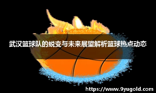 BB贝博登录入口